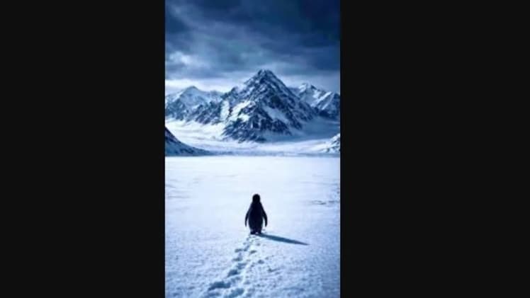 Тихий бунт чи фатальна помилка: історія