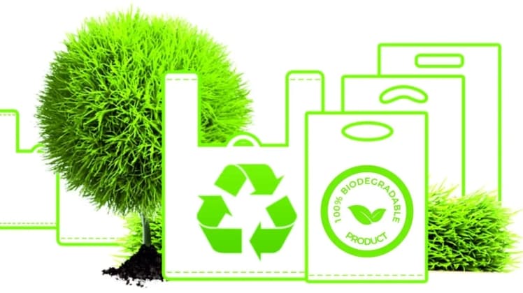 Вибираємо паперові пакети: наявність ручки, розміри,